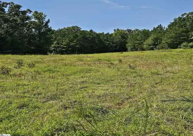 5th image of 335 Old Ferry Rd, Union, SC 29379 | MLS# 1601066