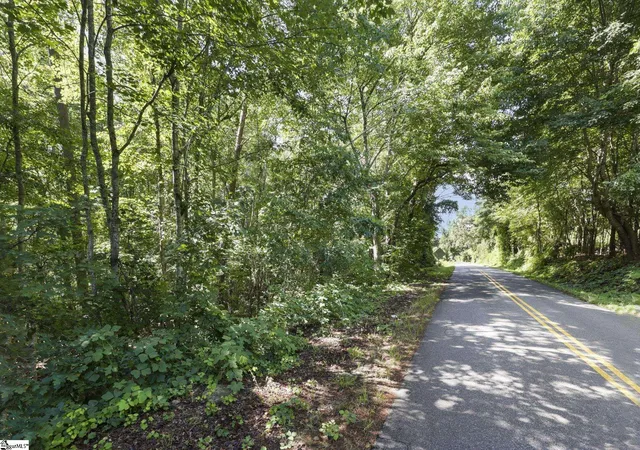 41st image of 196 Rd E Raines Rd, Easley, SC 29640 | MLS# 1595099