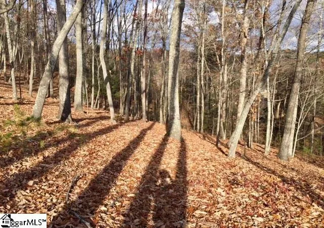 Photo 3 of Land for sale at 450 Highridge Pkwy, Marietta, SC 29661 | MLS# 1518261 | Listing updated on 2026-01-09
