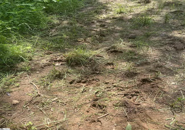 Photo 3 of Land for sale at 3393 Poplar Springs Rd, Ware Shoals, SC 29692 | MLS# 1526429 | Listing updated on 2026-05-19