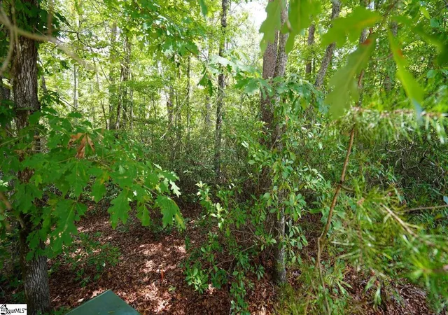 Photo 4 of Land for sale at 213 Ridge Haven Trl, Travelers Rest, SC 29690 | MLS# 1602193 | Listing updated on 2026-08-27