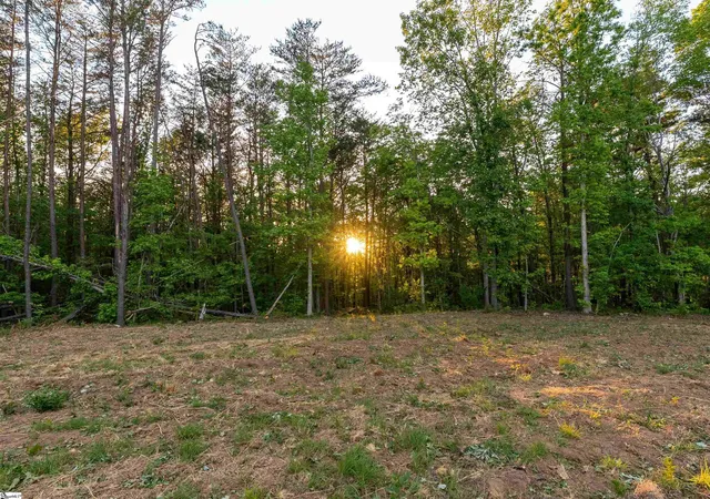 5th image of 1717 State Hwy 11, Landrum, SC 29356 | MLS# 1589817