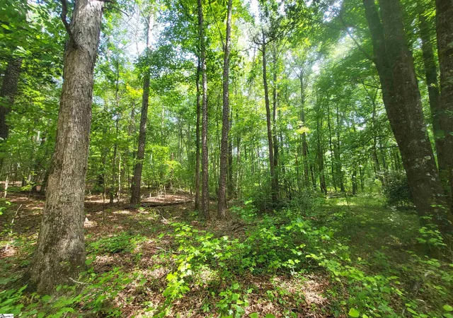 Photo 2 of Land for sale at 162 Courtney Rd, Cowpens, SC 29330 | MLS# 1591177 | Listing updated on 2026-09-04