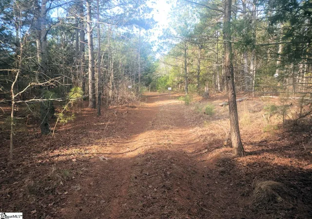 4th image of 25 S Hwy, Ware Shoals, SC 29692 | MLS# 1586335