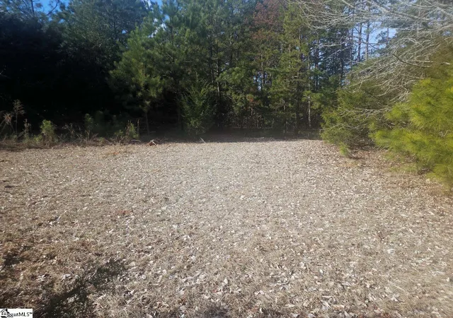 5th image of 25 S Hwy, Ware Shoals, SC 29692 | MLS# 1586335