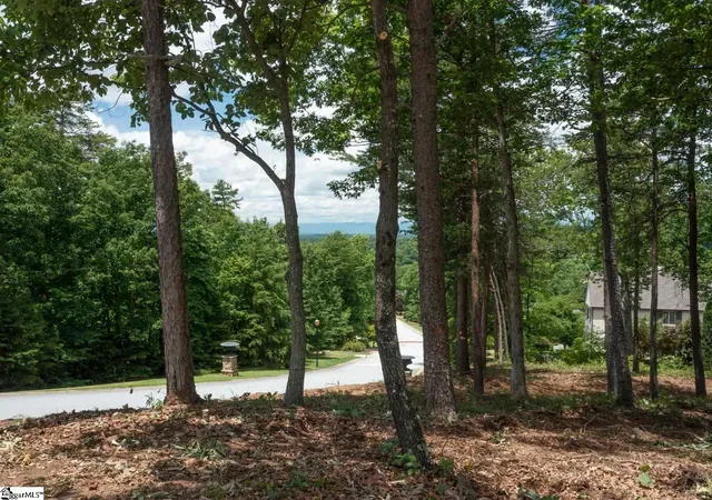 Photo 3 of Land for sale at 5 Donatello Ct, Greenville, SC 29609 | MLS# 1563990 | Listing updated on 2026-02-10