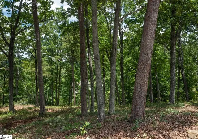 Photo 3 of Land for sale at 5 Donatello Ct, Greenville, SC 29609 | MLS# 1563990 | Listing updated on 2026-02-10