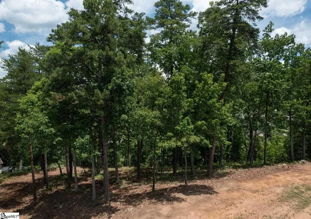 Photo 4 of Land for sale at 5 Donatello Ct, Greenville, SC 29609 | MLS# 1563990 | Listing updated on 2026-02-10