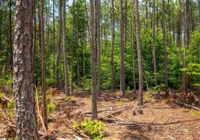 21st image of 00 Cheek Rd #Lot 10, Gray Court, SC 29645 | MLS# 1597439