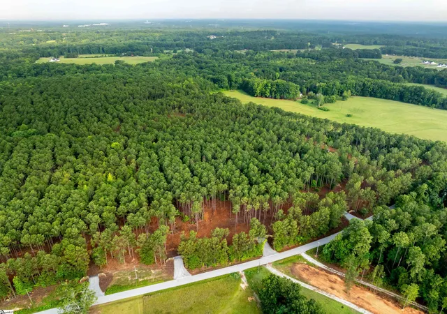 4th image of 00 Cheek Rd #Lot 10, Gray Court, SC 29645 | MLS# 1597439