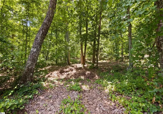 Photo 3 of Land for sale at 409 S Buckhorn Rd, Greenville, SC 29609 | MLS# 1597855 | Listing updated on 2026-07-16