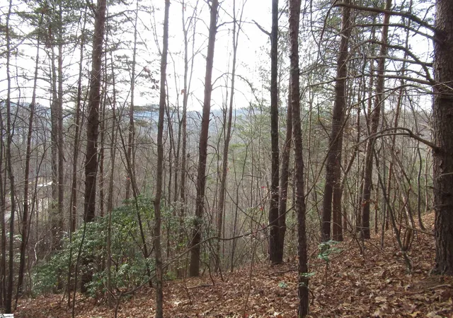 Photo 2 of Land for sale at Lone Rock Ct #Lot 10 Whispering Falls, Pickens, SC 29671 | MLS# 1579023 | Listing updated on 2026-01-17