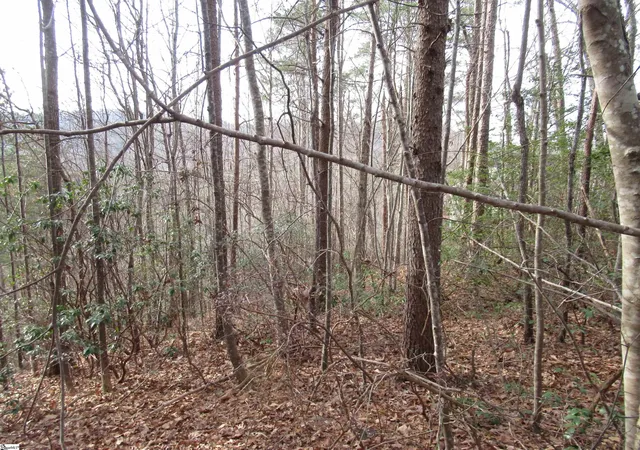 Photo 3 of Land for sale at Lone Rock Ct #Lot 10 Whispering Falls, Pickens, SC 29671 | MLS# 1579023 | Listing updated on 2026-01-17