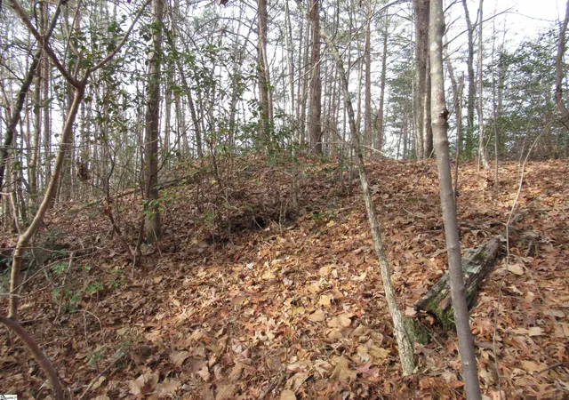 Photo 3 of Land for sale at Lone Rock Ct #Lot 10 Whispering Falls, Pickens, SC 29671 | MLS# 1579023 | Listing updated on 2026-01-17