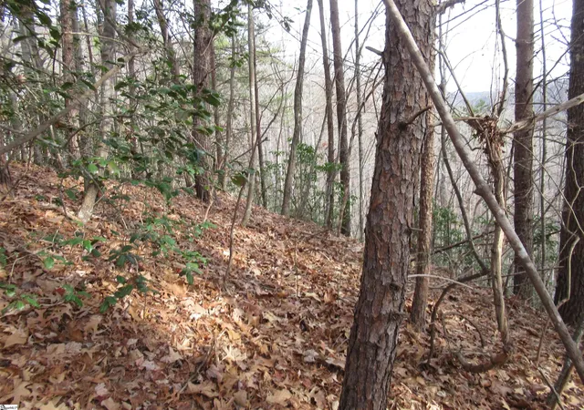 Photo 4 of Land for sale at Lone Rock Ct #Lot 10 Whispering Falls, Pickens, SC 29671 | MLS# 1579023 | Listing updated on 2026-01-17