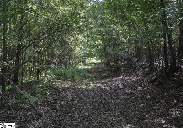 Photo 14 of Land for sale at 1560 Meansville Rd, Union, SC 29379 | MLS# 1599579 | Listing updated on 2026-08-03