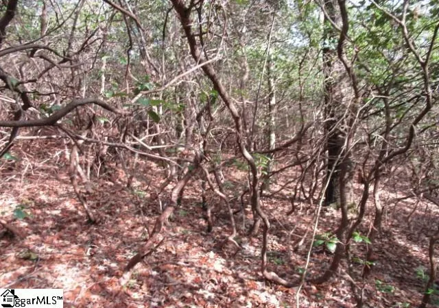 Photo 2 of Land for sale at 15 Matthews Creek Ln, Cleveland, SC 29635 | MLS# 1582130 | Listing updated on 2026-09-17