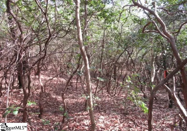 Photo 3 of Land for sale at 15 Matthews Creek Ln, Cleveland, SC 29635 | MLS# 1582130 | Listing updated on 2026-09-17