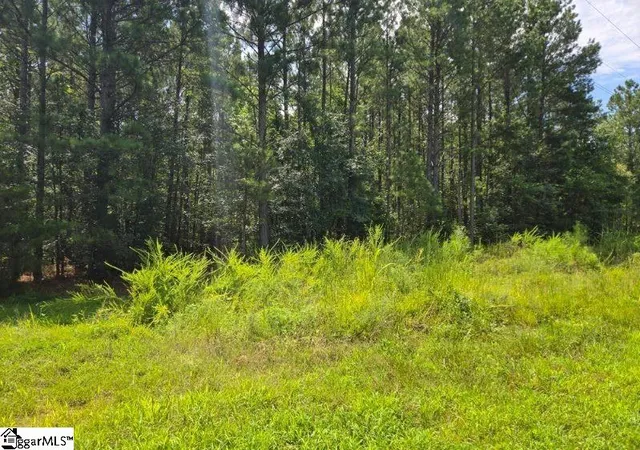 Photo 1 of Land for sale at 00 Shrine Club Rd, Waterloo, SC 29384 | MLS# 1600929 | Listing updated on 2026-08-20