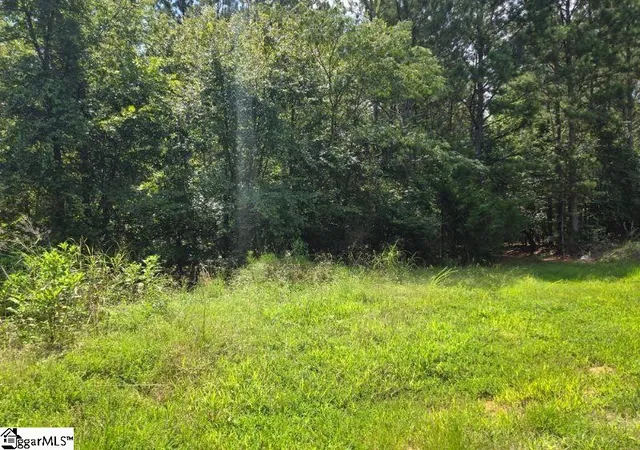 Photo 2 of Land for sale at 00 Shrine Club Rd, Waterloo, SC 29384 | MLS# 1600929 | Listing updated on 2026-08-20