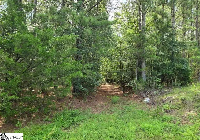 Photo 3 of Land for sale at 00 Shrine Club Rd, Waterloo, SC 29384 | MLS# 1600929 | Listing updated on 2026-08-20