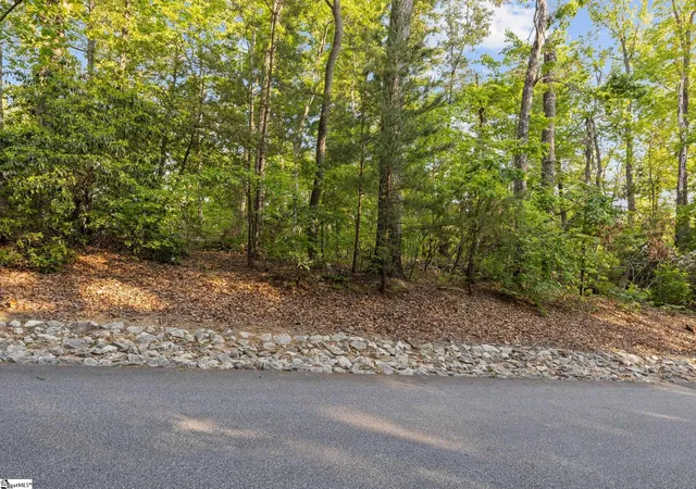 Homes for sale in Travelers Rest, SC | 5 Rhone Valley Cir, Travelers Rest, SC 29690 | MLS# 1589613