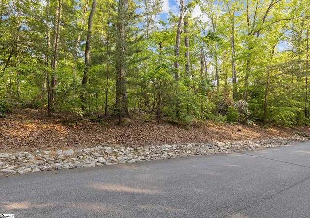 Homes for sale in Travelers Rest, SC | 5 Rhone Valley Cir, Travelers Rest, SC 29690 | MLS# 1589613