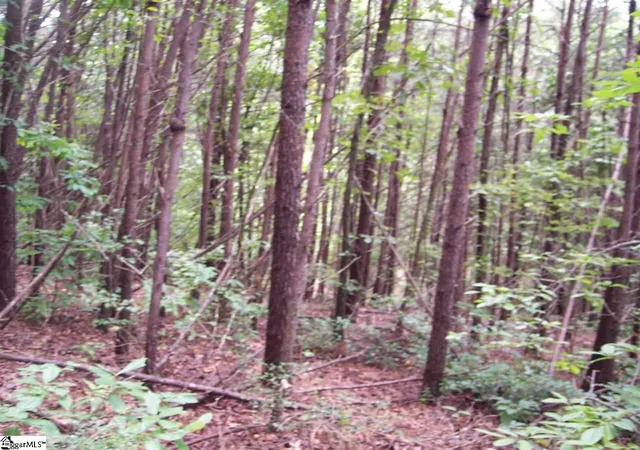 Photo 1 of Land for sale at 343 Gauley Falls Rd #Lot 87 Gauley Falls, Pickens, SC 29671 | MLS# 1544605 | Listing updated on 2026-01-09