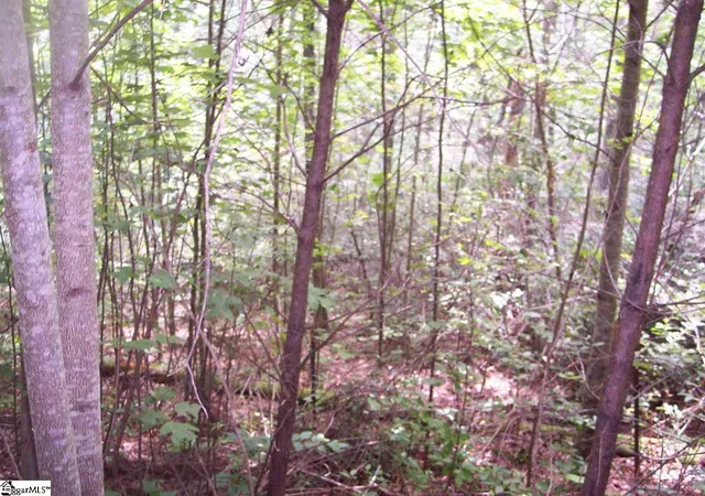 Photo 2 of Land for sale at 343 Gauley Falls Rd #Lot 87 Gauley Falls, Pickens, SC 29671 | MLS# 1544605 | Listing updated on 2026-01-09