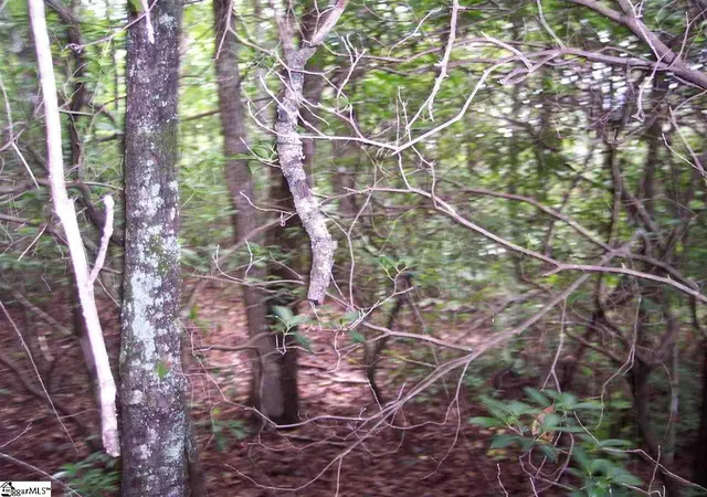 Photo 3 of Land for sale at 343 Gauley Falls Rd #Lot 87 Gauley Falls, Pickens, SC 29671 | MLS# 1544605 | Listing updated on 2026-01-09