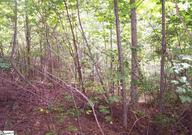 Photo 3 of Land for sale at 343 Gauley Falls Rd #Lot 87 Gauley Falls, Pickens, SC 29671 | MLS# 1544605 | Listing updated on 2026-01-09