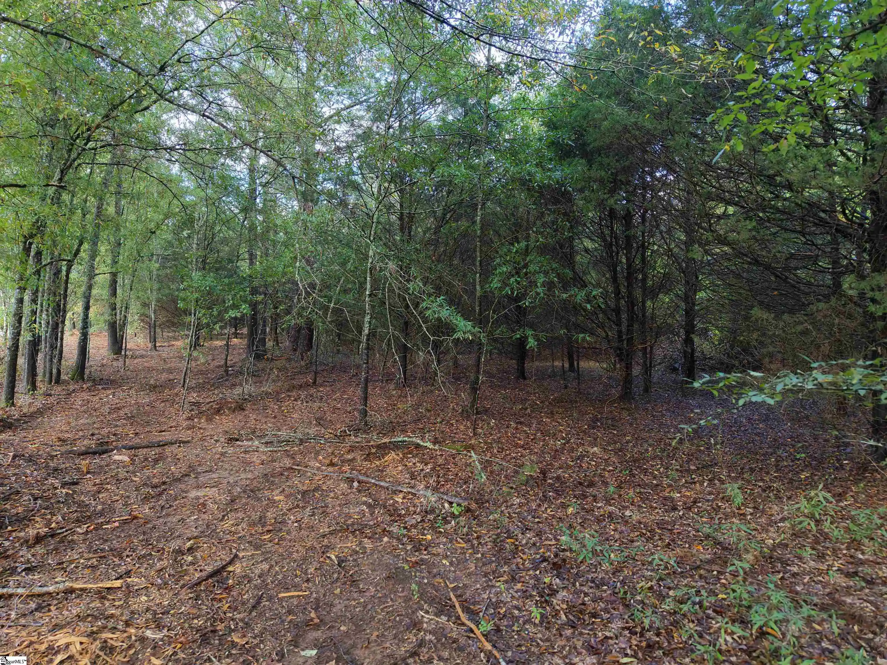 Land for sale at 02 Owens Dr, Laurens, SC 29360 | MLS# 1606504