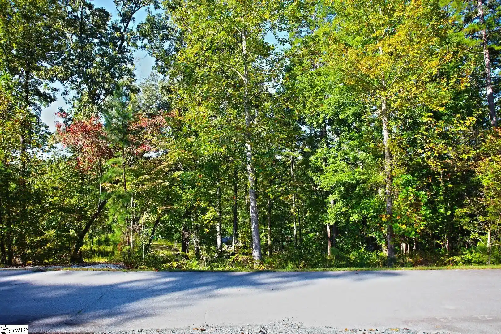 Photo 1 of Land for sale at 20 Towson Trl, West Union, SC 29696 | MLS# 1606562 | Listing updated on 2026-10-14