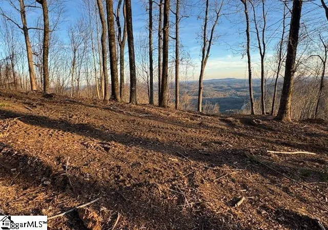 Photo 3 of Land for sale at 1531 Panther Park Trl, Travelers Rest, SC 29690 | MLS# 1569222 | Listing updated on 2026-10-22