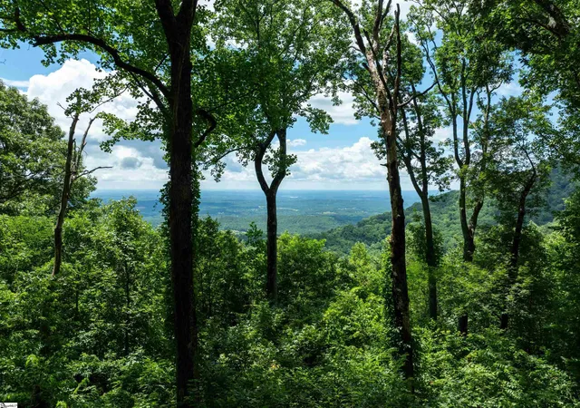 Photo 1 of Land for sale at 22 Raven Rd, Landrum, SC 29356 | MLS# 1562388 | Listing updated on 2026-03-13