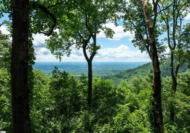Photo 3 of Land for sale at 22 Raven Rd, Landrum, SC 29356 | MLS# 1562388 | Listing updated on 2026-03-13