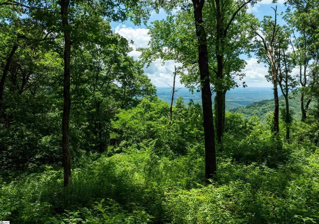 Photo 3 of Land for sale at 22 Raven Rd, Landrum, SC 29356 | MLS# 1562388 | Listing updated on 2026-03-13