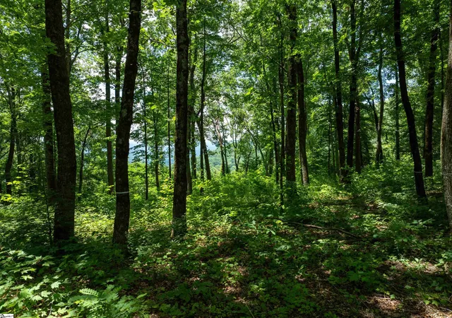 Photo 4 of Land for sale at 22 Raven Rd, Landrum, SC 29356 | MLS# 1562388 | Listing updated on 2026-03-13