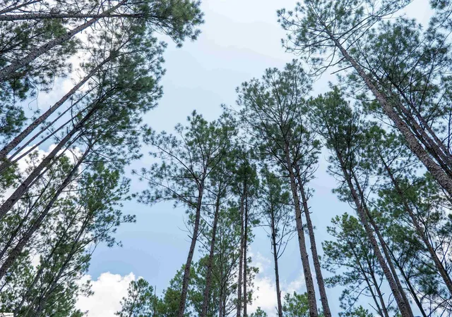 23rd image of 00 Cheek Rd #Lot 13, Gray Court, SC 29645 | MLS# 1597444