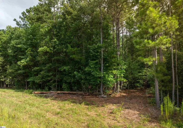 4th image of 01 Pinedale Rd, Liberty, SC 29657 | MLS# 1583905