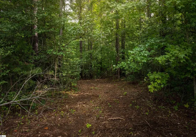 5th image of 01 Pinedale Rd, Liberty, SC 29657 | MLS# 1583905
