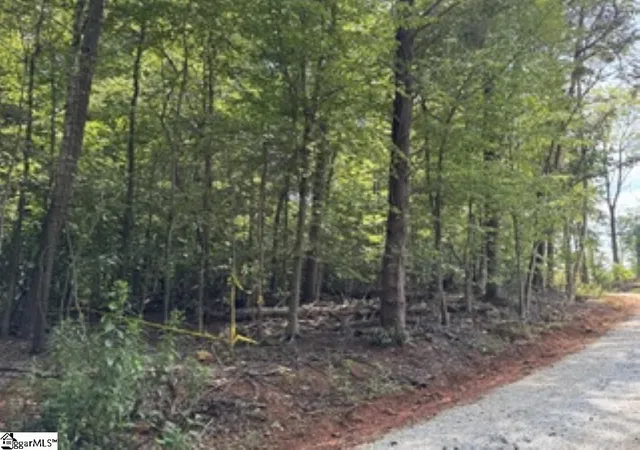 Photo 2 of Land for sale at 106 N Silver Lake Dr, Taylors, SC 29687 | MLS# 1601787 | Listing updated on 2026-08-27