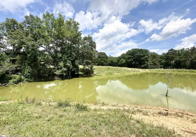 50th image of 289 Deepwater Rd, Union, SC 29379 | MLS# 1594148