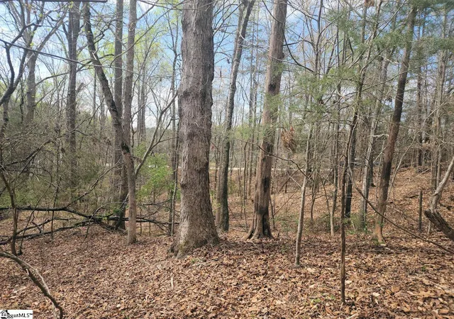 19th image of Boyds Mill Pond Rd, Laurens, SC 29360 | MLS# 1586000