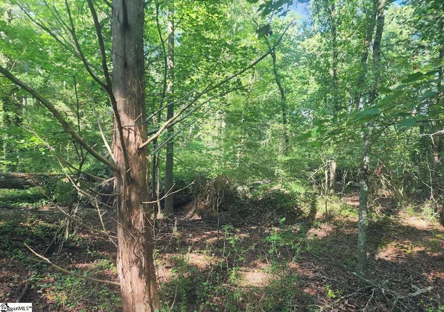 Photo 3 of Sale Pending at (Undisclosed), Gray Court, SC 29645 | MLS# 1599790 | Listing updated on 2026-08-20