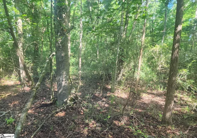 Photo 4 of Sale Pending at (Undisclosed), Gray Court, SC 29645 | MLS# 1599790 | Listing updated on 2026-08-20