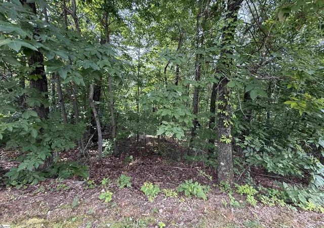 Photo 1 of Land for sale at 140 Crowne Hill Wy, Marietta, SC 29661 | MLS# 1599097 | Listing updated on 2026-07-29