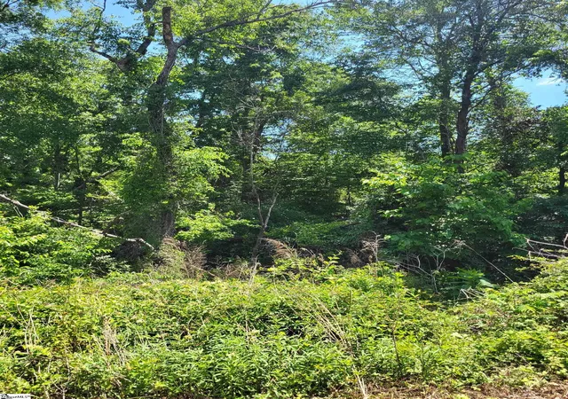 Photo 2 of Land for sale at 160 Lincoln Rd, Taylors, SC 29687 | MLS# 1591573 | Listing updated on 2026-07-07