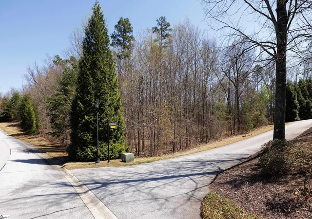 5th image of 10 Donatello Ct #Lot 94, Greenville, SC 29609 | MLS# 1578438