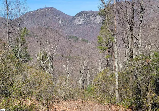 1st image of 107 Roundtop Ln, Landrum, SC 29356 | MLS# 1445418